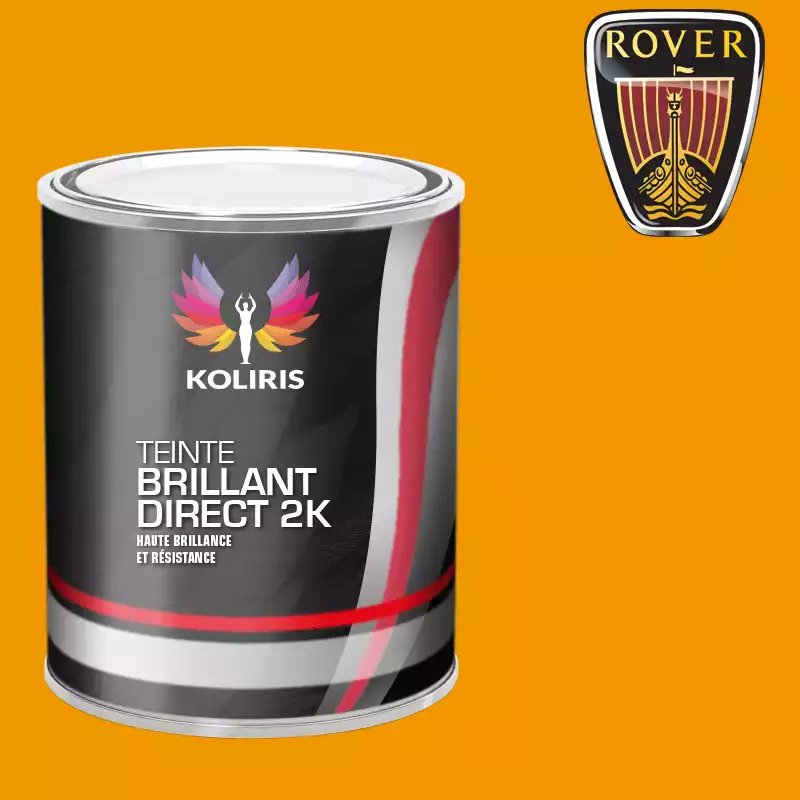 Peinture voiture brillant direct VOC420 Rover