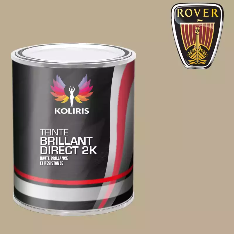 Peinture voiture brillant direct VOC420 Rover