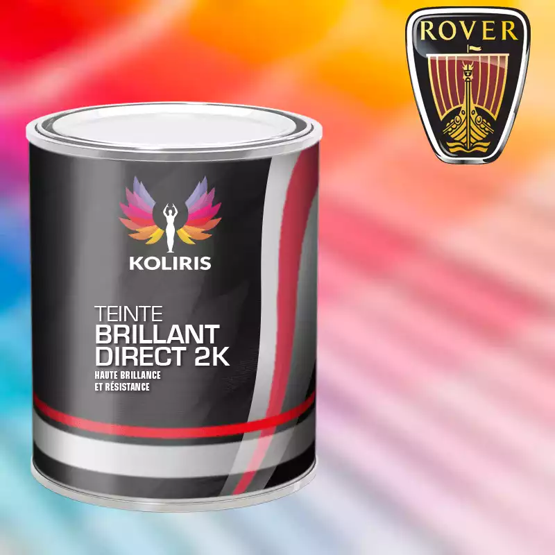 Peinture voiture brillant direct VOC420 Rover