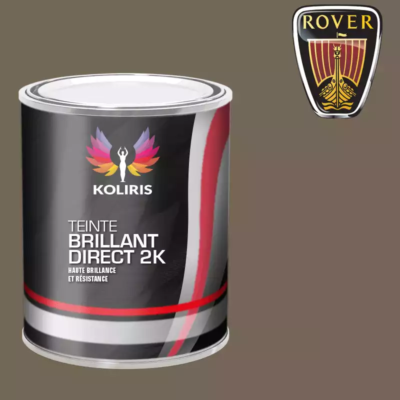 Peinture voiture brillant direct VOC420 Rover