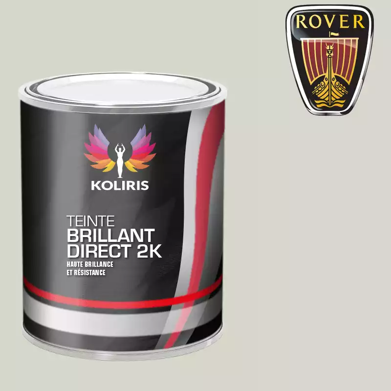 Peinture voiture brillant direct VOC420 Rover