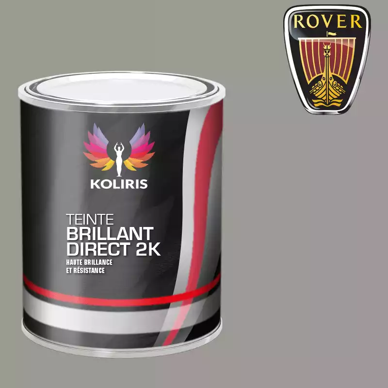 Peinture voiture brillant direct VOC420 Rover