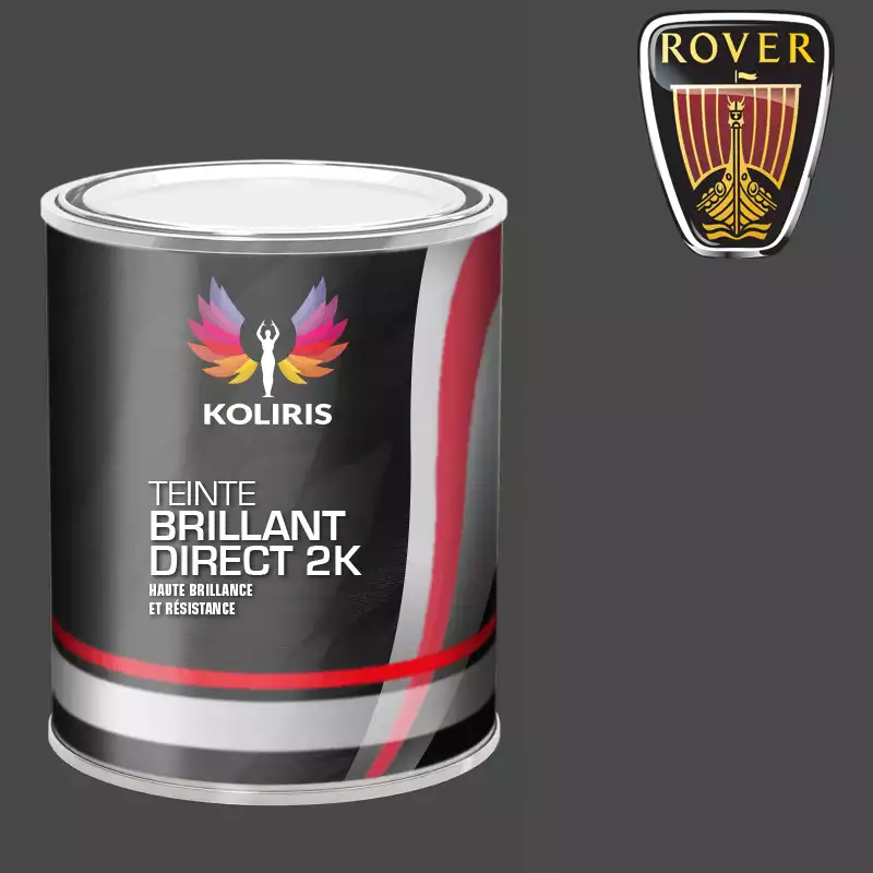 Peinture voiture brillant direct VOC420 Rover