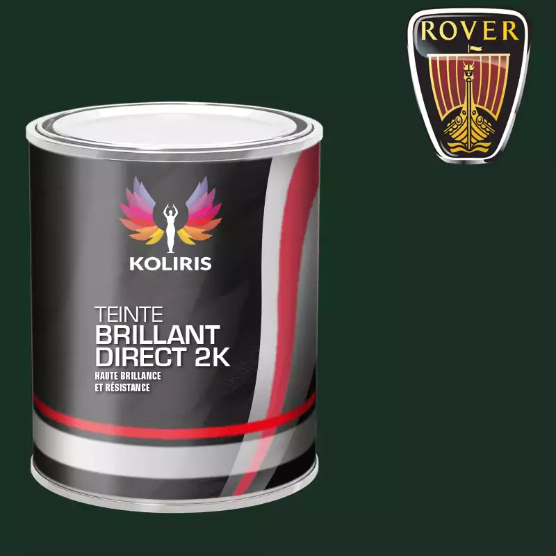 Peinture voiture brillant direct VOC420 Rover