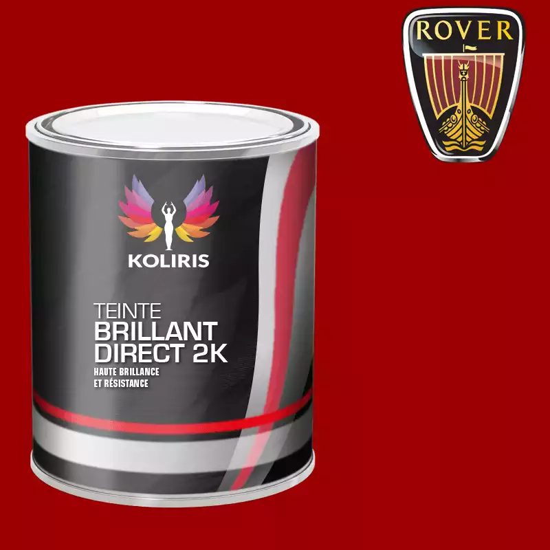 Peinture voiture brillant direct VOC420 Rover