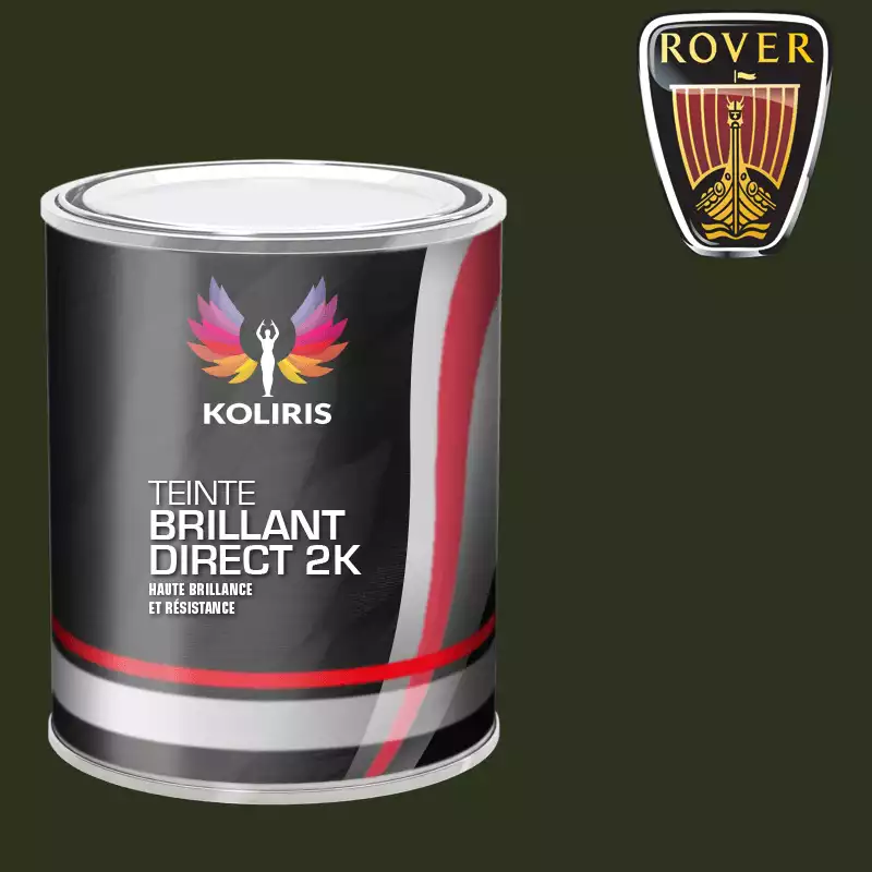 Peinture voiture brillant direct VOC420 Rover