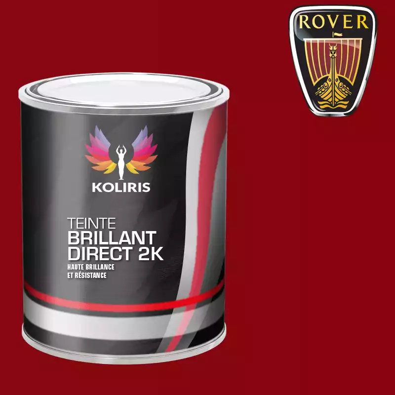 Peinture voiture brillant direct VOC420 Rover