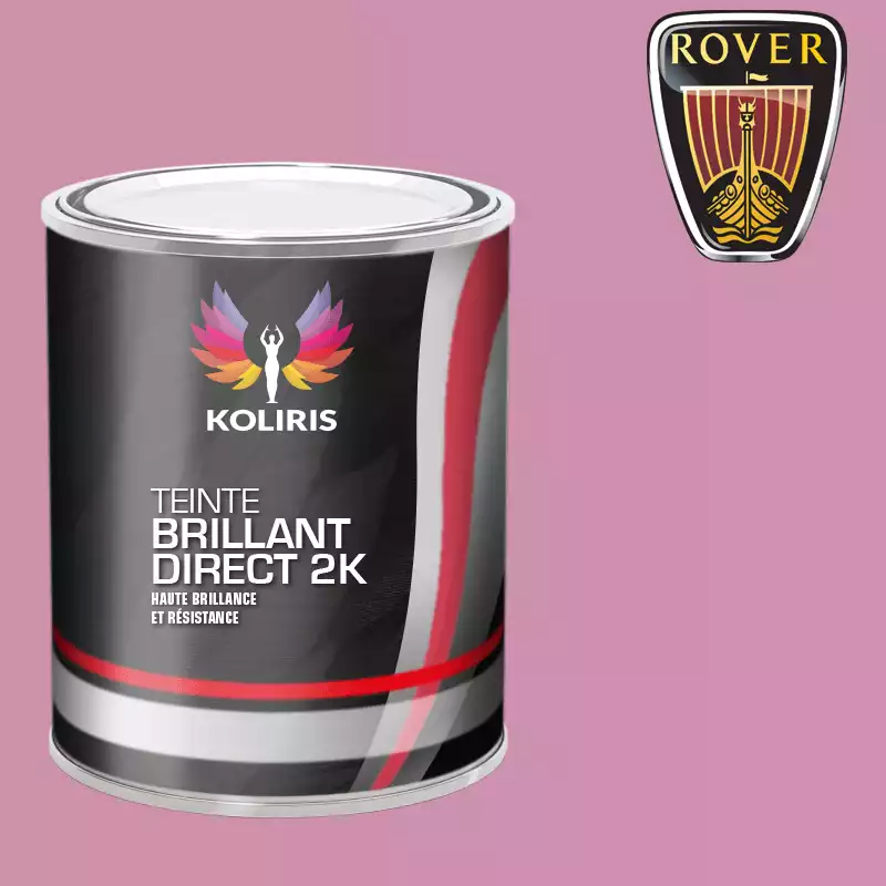 Peinture voiture brillant direct VOC420 Rover