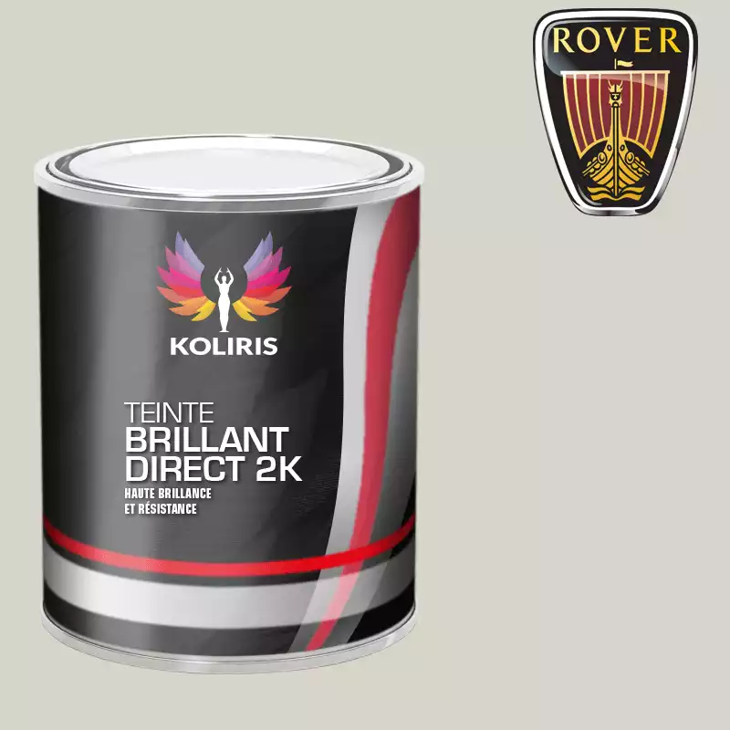 Peinture voiture brillant direct VOC420 Rover