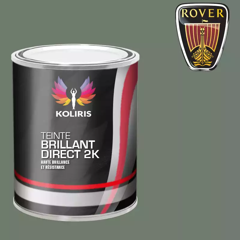 Peinture voiture brillant direct VOC420 Rover