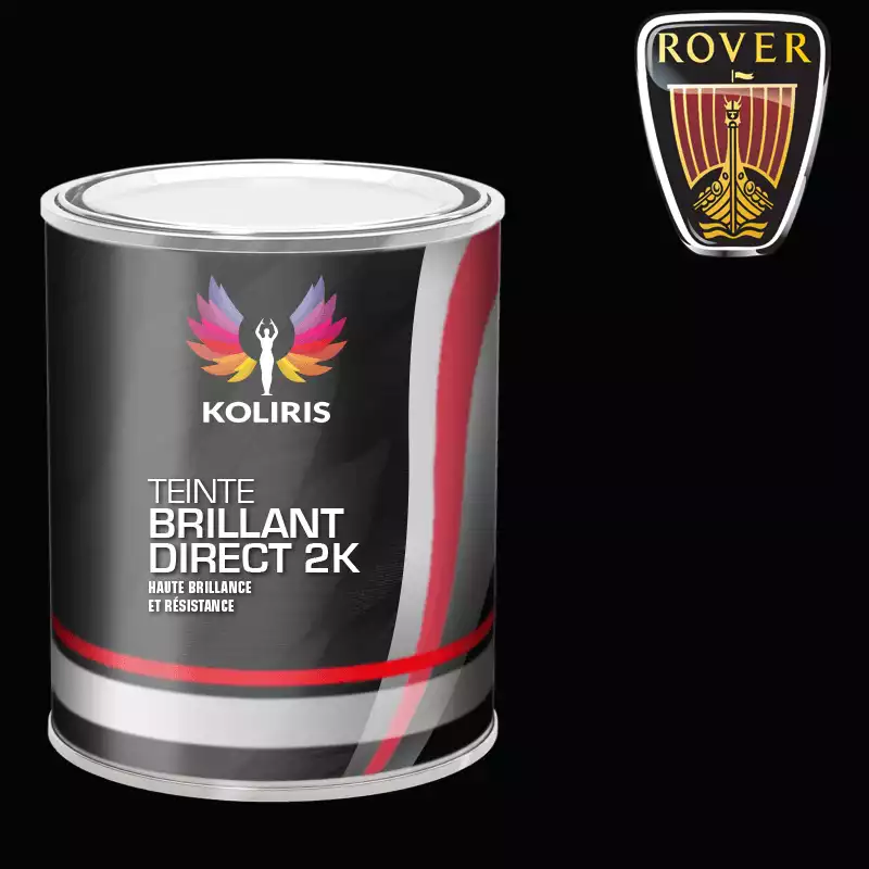 Peinture voiture brillant direct VOC420 Rover