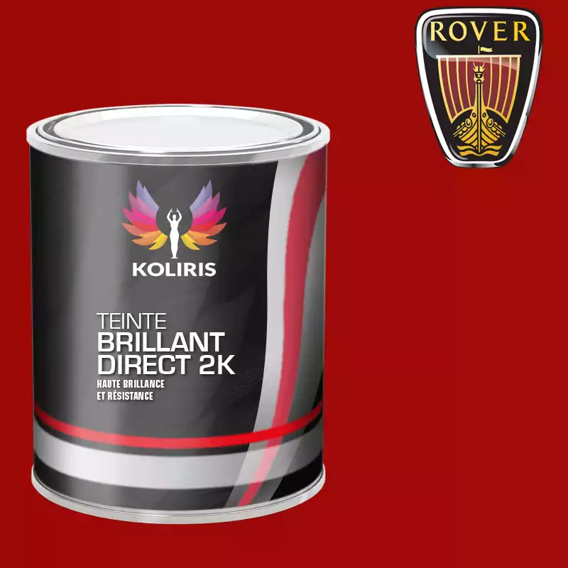 Peinture voiture brillant direct VOC420 Rover