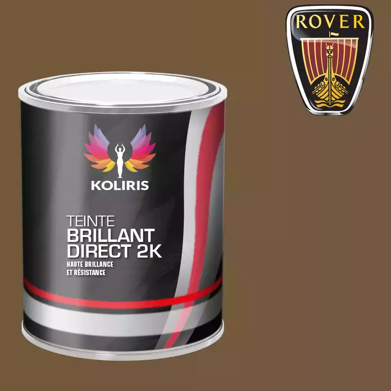 Peinture voiture brillant direct VOC420 Rover