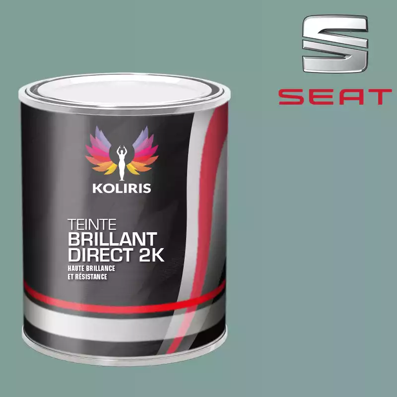 Peinture voiture brillant direct VOC420 Seat