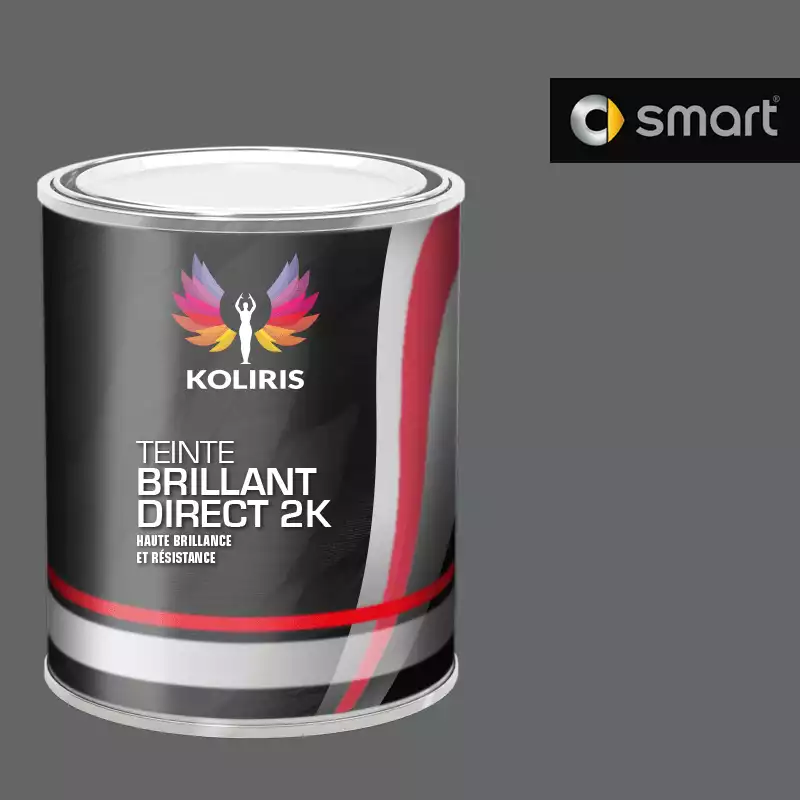 Peinture voiture brillant direct VOC420 Smart