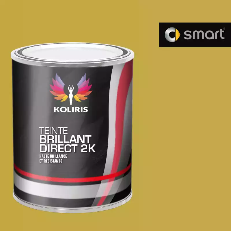 Peinture voiture brillant direct VOC420 Smart