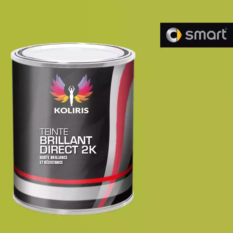 Peinture voiture brillant direct VOC420 Smart