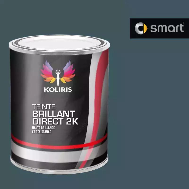 Peinture voiture brillant direct VOC420 Smart