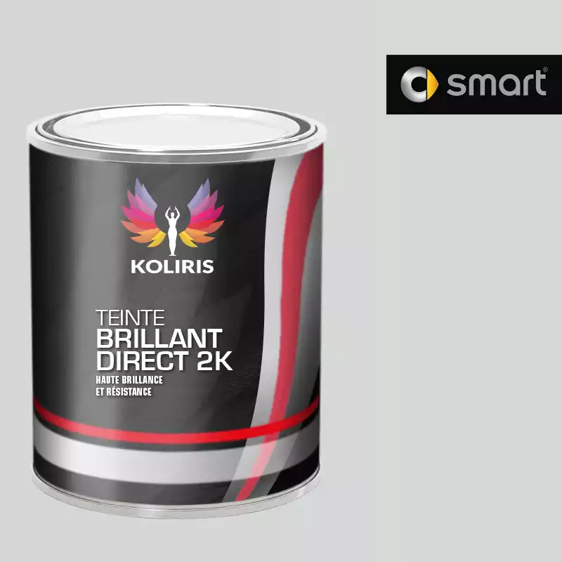 Peinture voiture brillant direct VOC420 Smart