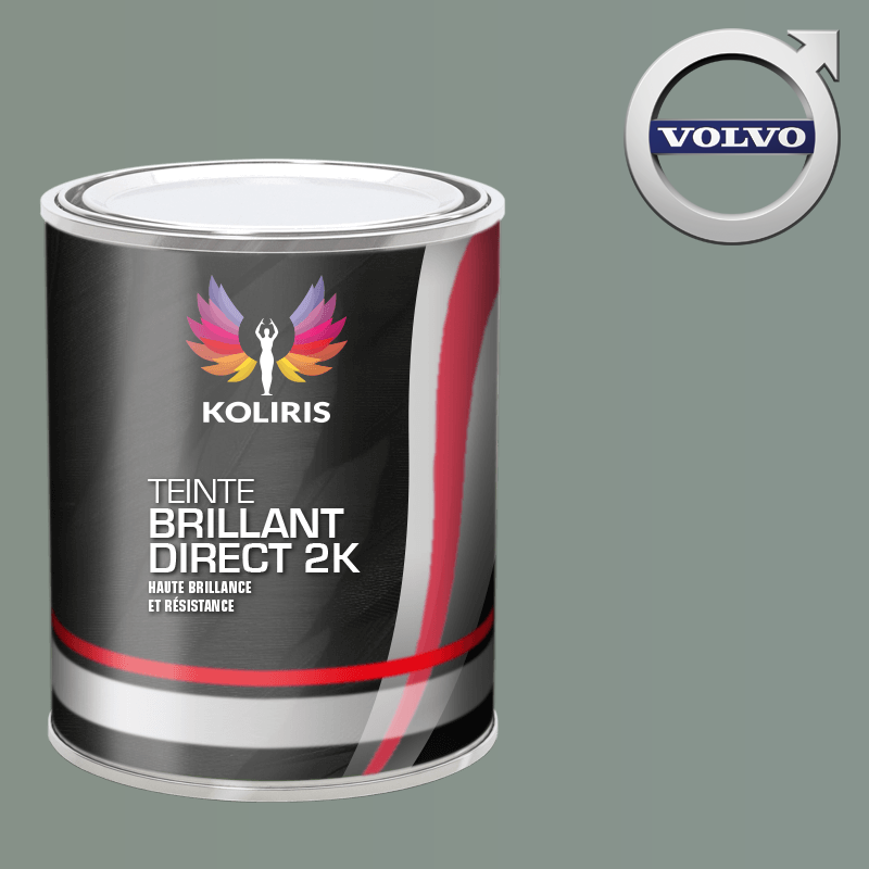 Peinture voiture brillant direct VOC420 Volvo