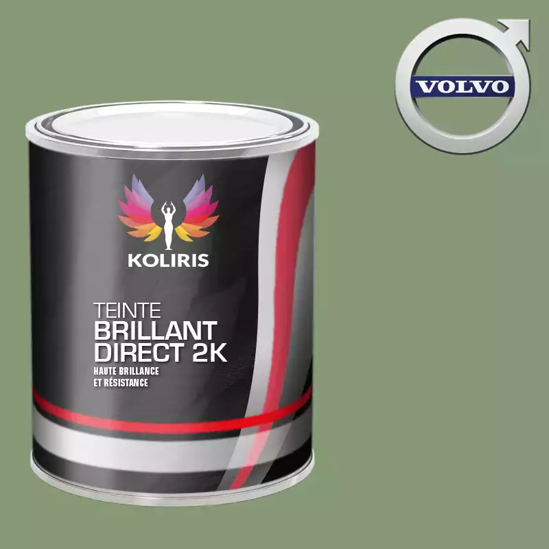 Peinture voiture brillant direct VOC420 Volvo