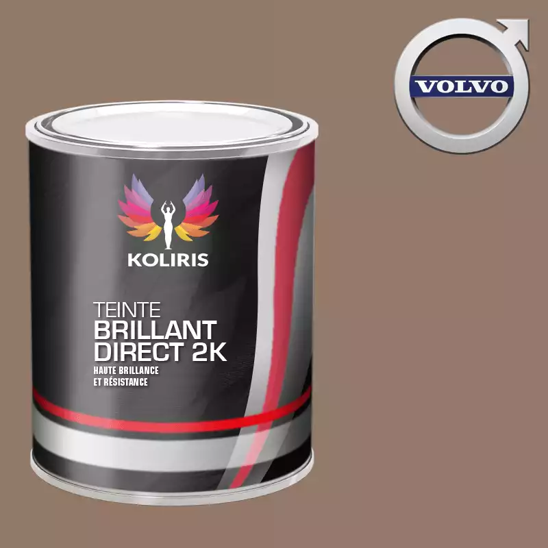 Peinture voiture brillant direct VOC420 Volvo