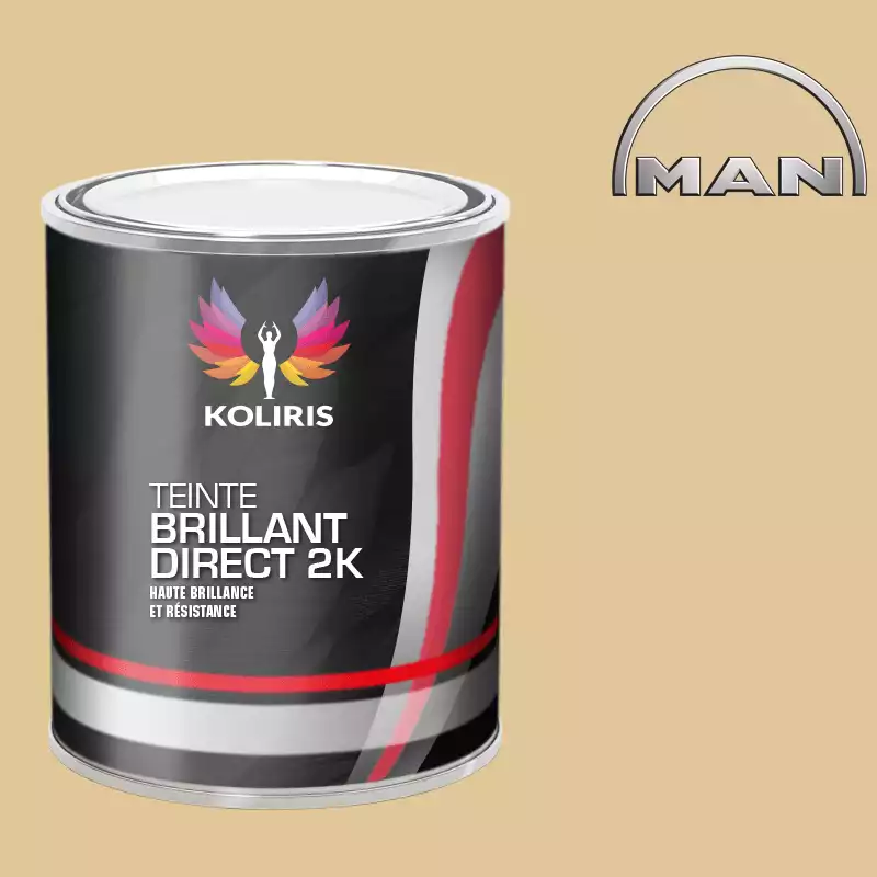 Peinture utilitaire - camion brillant direct VOC420 Man