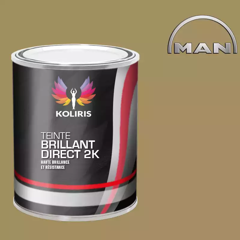 Peinture utilitaire - camion brillant direct VOC420 Man