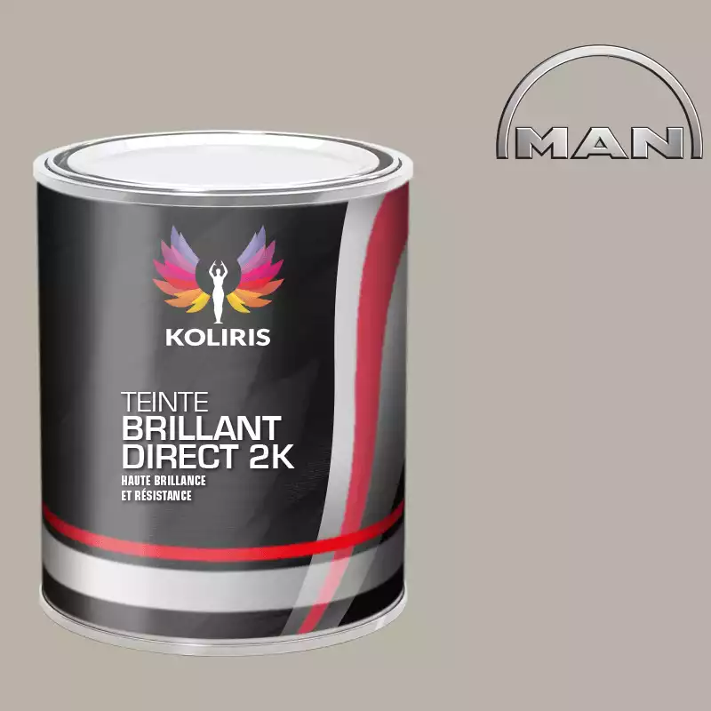 Peinture utilitaire - camion brillant direct VOC420 Man