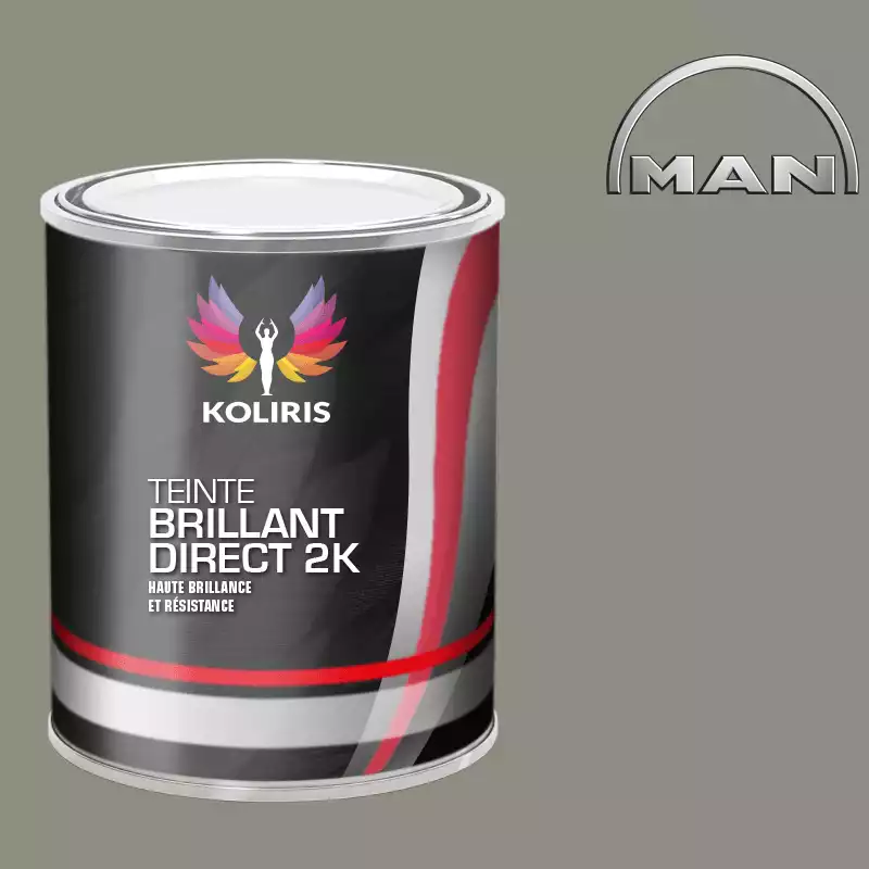 Peinture utilitaire - camion brillant direct VOC420 Man