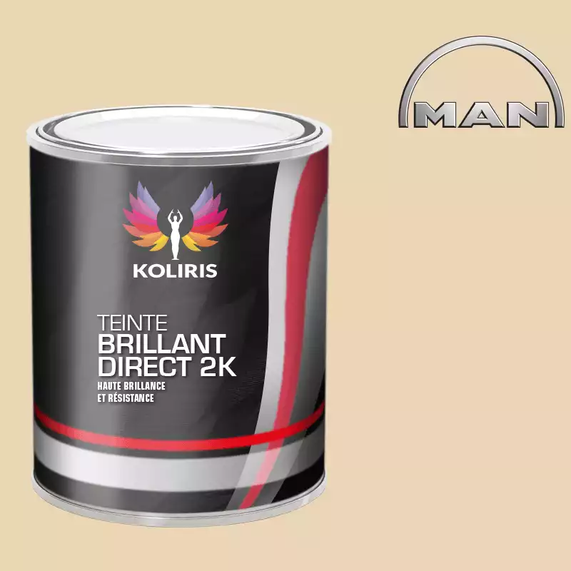 Peinture utilitaire - camion brillant direct VOC420 Man