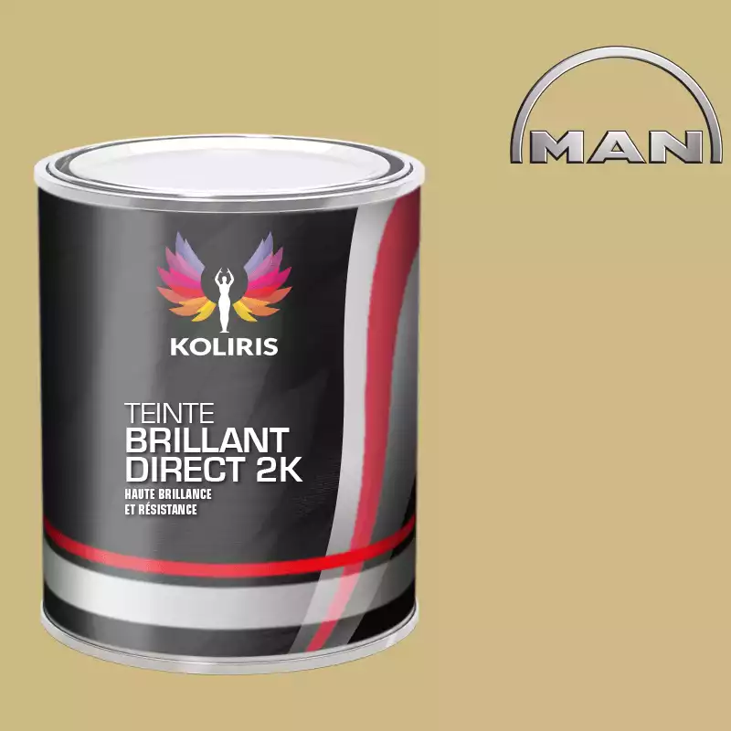 Peinture utilitaire - camion brillant direct VOC420 Man