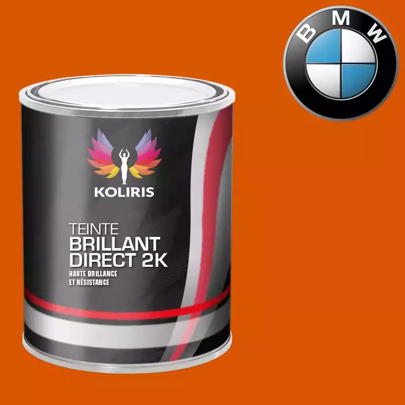 Peinture moto brillant direct VOC420 Bmw Moto