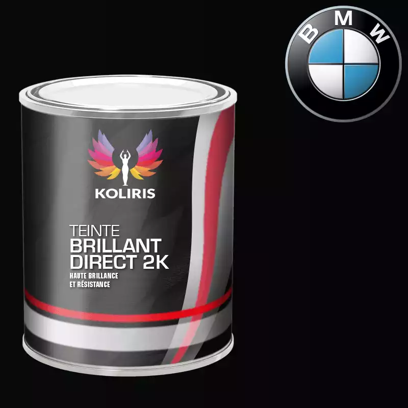 Peinture moto brillant direct VOC420 Bmw Moto