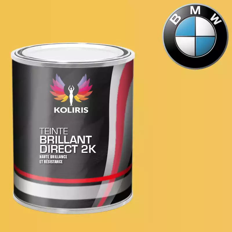 Peinture moto brillant direct VOC420 Bmw Moto