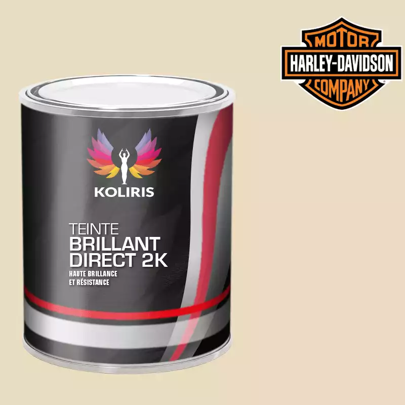 Peinture moto brillant direct VOC420 Harley Davidson Moto