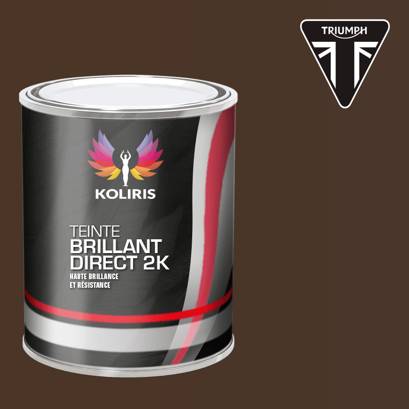 Peinture moto brillant direct VOC420 Triumph Moto
