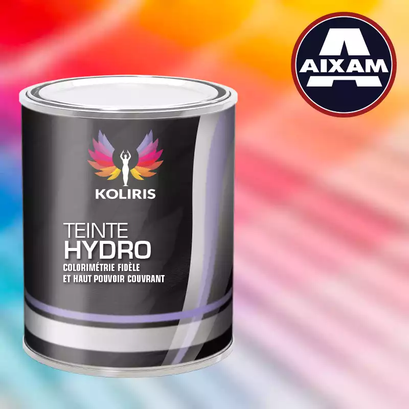 Peinture voiture hydro Aixam