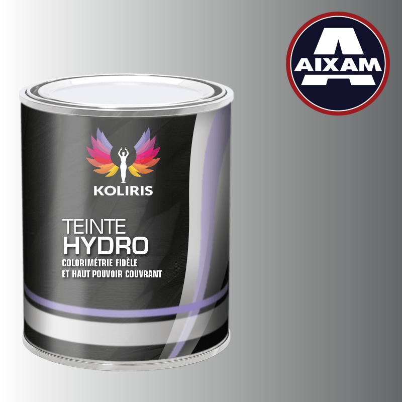 Peinture voiture hydro Aixam