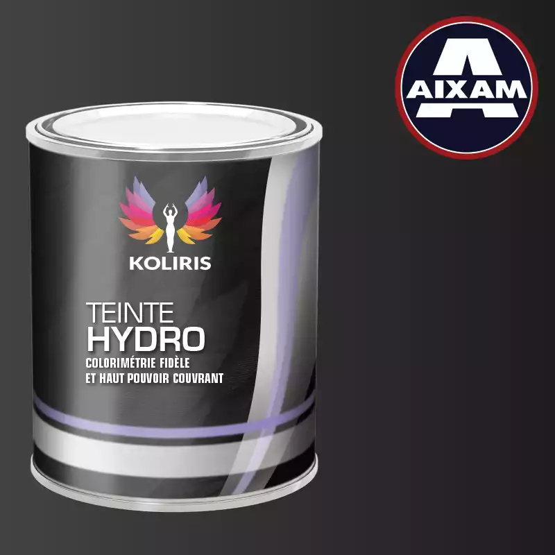 Peinture voiture hydro Aixam