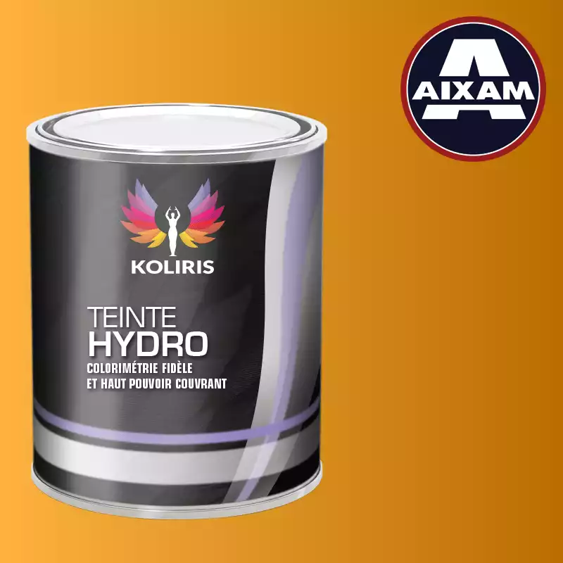 Peinture voiture hydro Aixam