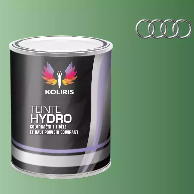 Peinture voiture hydro Audi