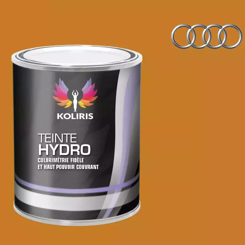 Peinture voiture hydro Audi