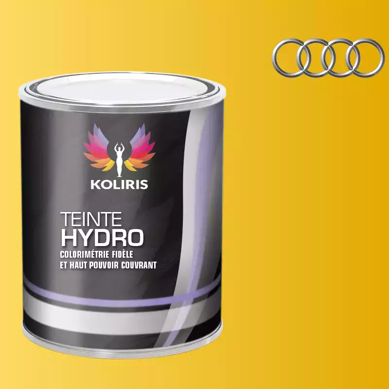 Peinture voiture hydro Audi