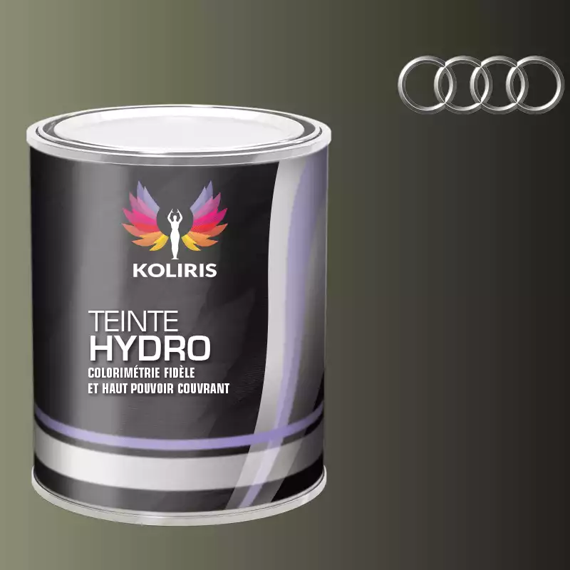 Peinture voiture hydro Audi