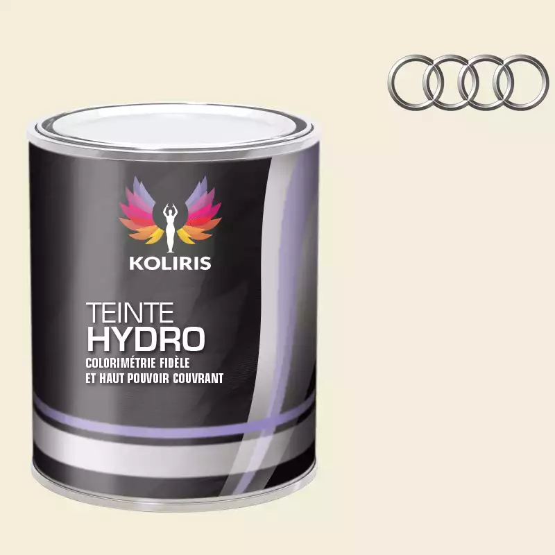 Peinture voiture hydro Audi