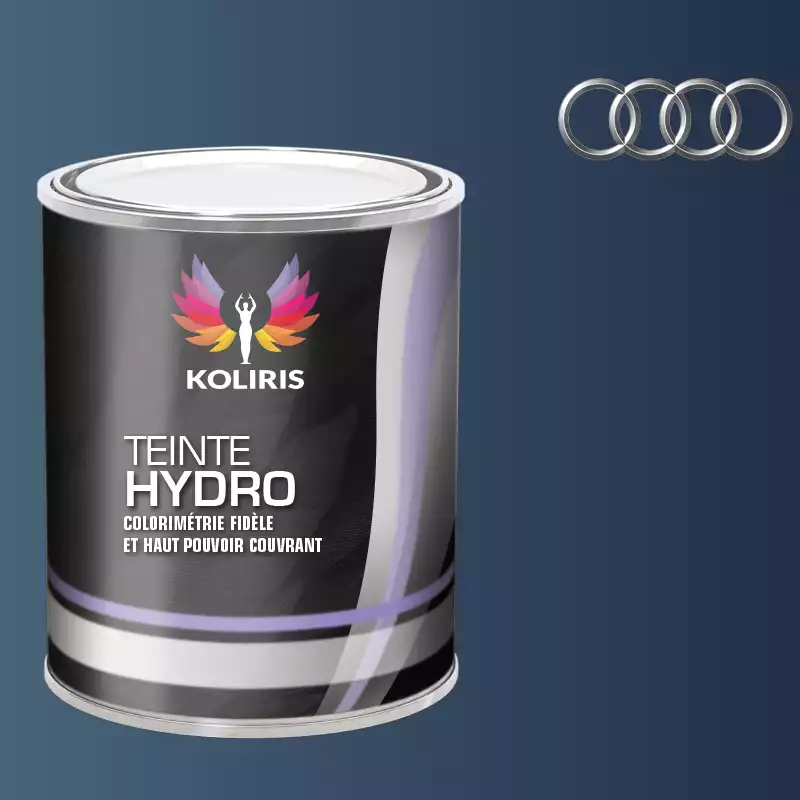 Peinture voiture hydro Audi