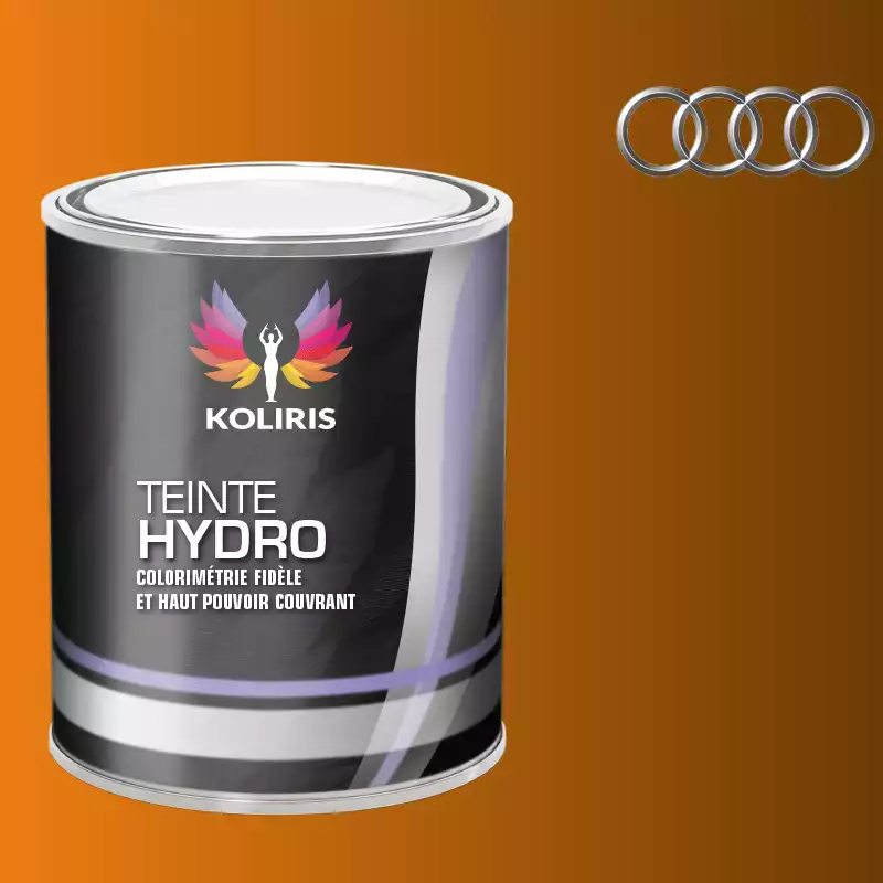 Peinture voiture hydro Audi