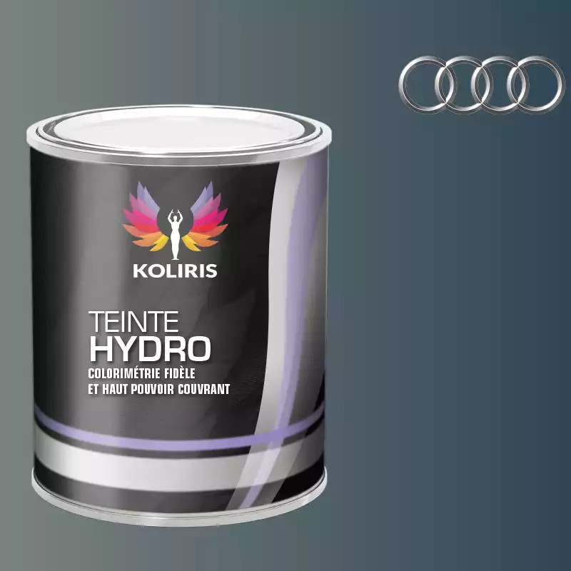 Peinture voiture hydro Audi