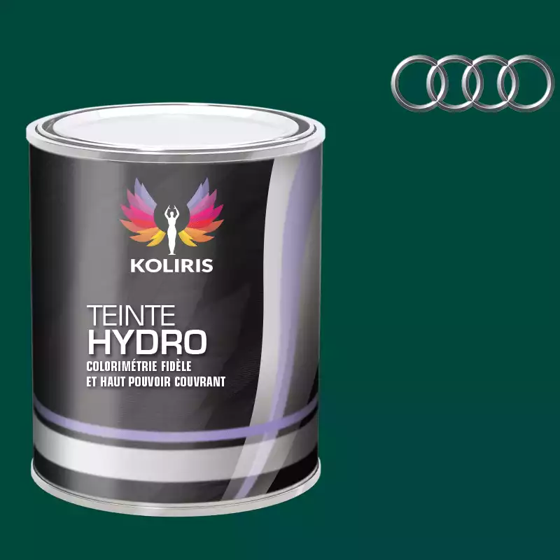 Peinture voiture hydro Audi